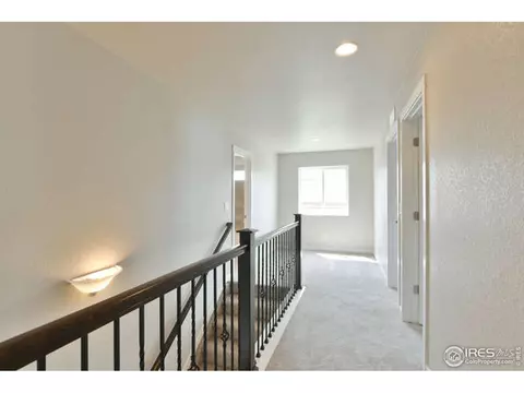 875 Sunlight Peak Dr, Windsor, CO 80550 photo 15
