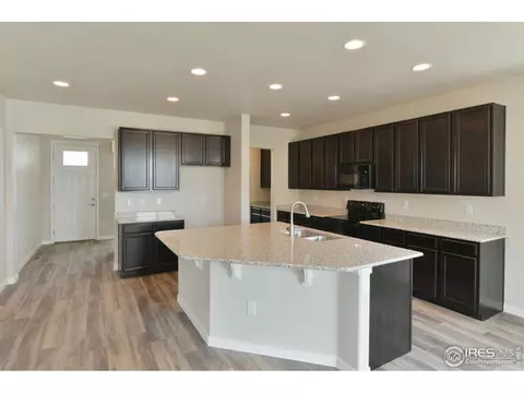 875 Sunlight Peak Dr, Windsor, CO 80550 photo 8