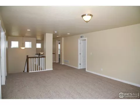 873 Sunlight Peak Dr, Windsor, CO 80550 photo 35