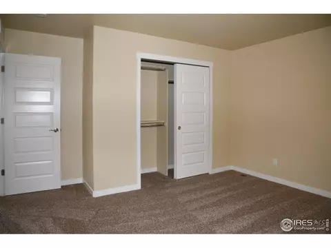 873 Sunlight Peak Dr, Windsor, CO 80550 photo 29
