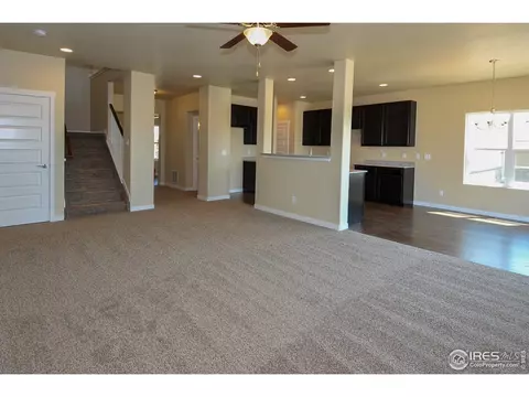 873 Sunlight Peak Dr, Windsor, CO 80550 photo 19