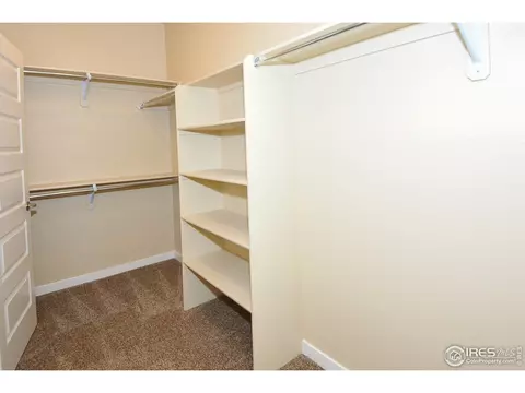 873 Sunlight Peak Dr, Windsor, CO 80550 photo 7
