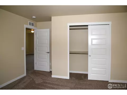 873 Sunlight Peak Dr, Windsor, CO 80550 photo 24
