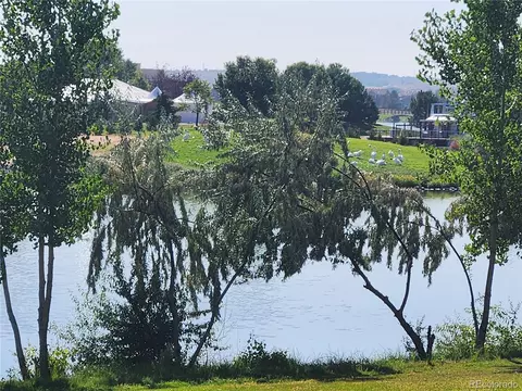1737 Beachside Dr, Windsor, CO 80550 photo 19