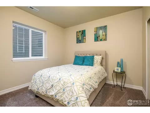6160 Carmon Ct, Windsor, CO 80550 photo 23