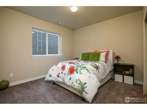 6160 Carmon Ct, Windsor, CO 80550 photo 25
