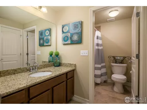 6160 Carmon Ct, Windsor, CO 80550 photo 26