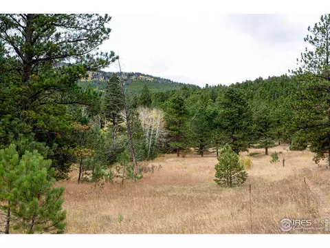 575 Spruce Dr, Lyons, CO 80540 photo 9