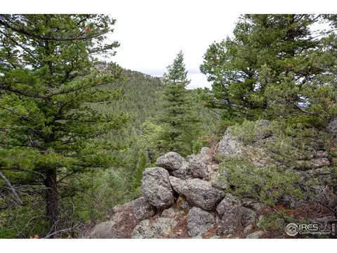 575 Spruce Dr, Lyons, CO 80540 photo 10