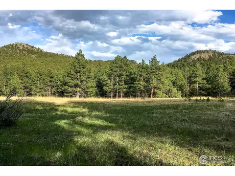 575 Spruce Dr, Lyons, CO 80540 photo 3
