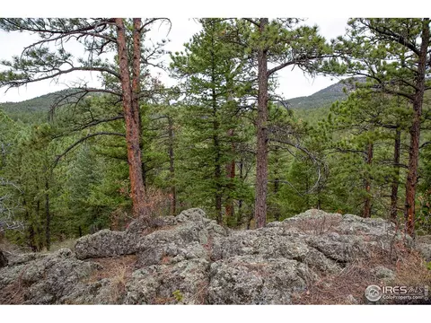 575 Spruce Dr, Lyons, CO 80540 photo 18