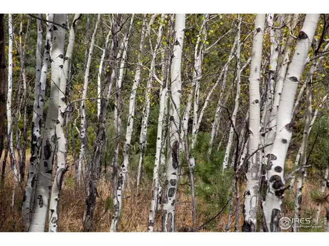 575 Spruce Dr, Lyons, CO 80540 photo 16