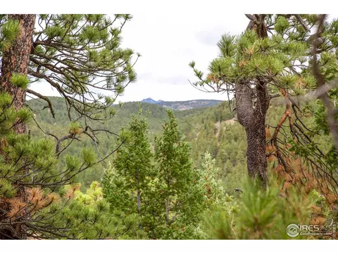 575 Spruce Dr, Lyons, CO 80540 photo 6