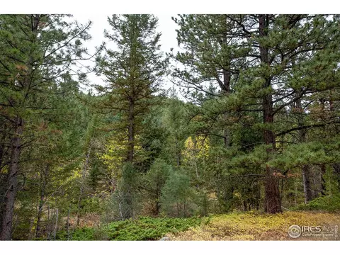 575 Spruce Dr, Lyons, CO 80540 photo 12