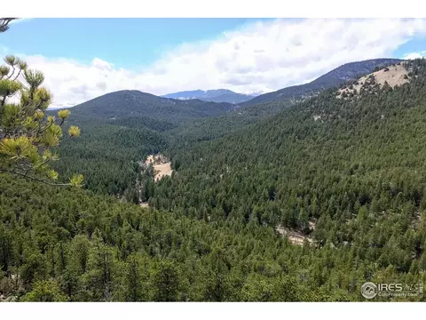 575 Spruce Dr, Lyons, CO 80540 photo 13