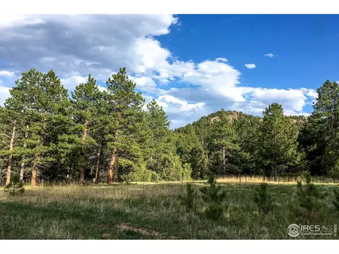575 Spruce Dr, Lyons, CO 80540 photo 2