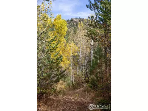 575 Spruce Dr, Lyons, CO 80540 photo 11