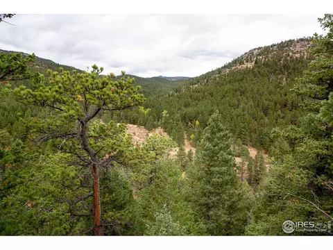 575 Spruce Dr, Lyons, CO 80540 photo 15