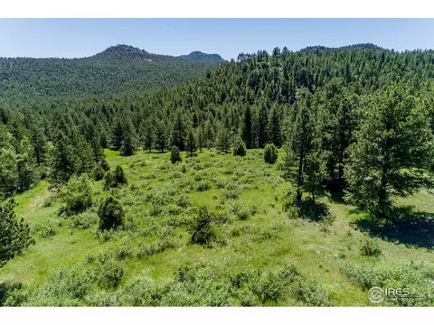 575 Spruce Dr, Lyons, CO 80540 photo 5