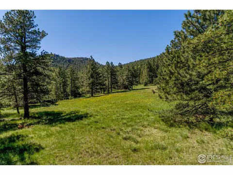 575 Spruce Dr, Lyons, CO 80540 photo 4