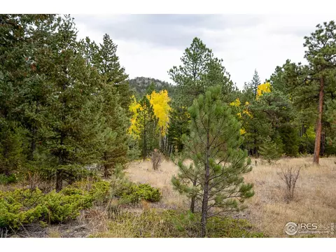 575 Spruce Dr, Lyons, CO 80540 photo 17