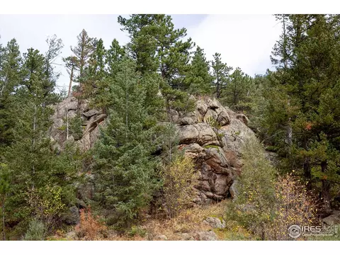 575 Spruce Dr, Lyons, CO 80540 photo 8