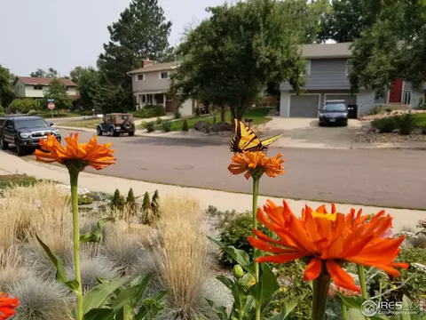 1570 Judson Dr, Boulder, CO 80305 photo 29