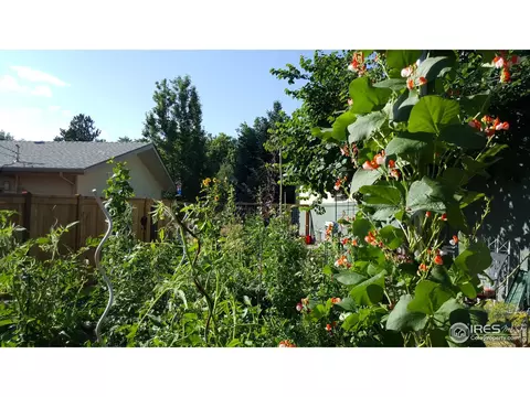 1570 Judson Dr, Boulder, CO 80305 photo 27