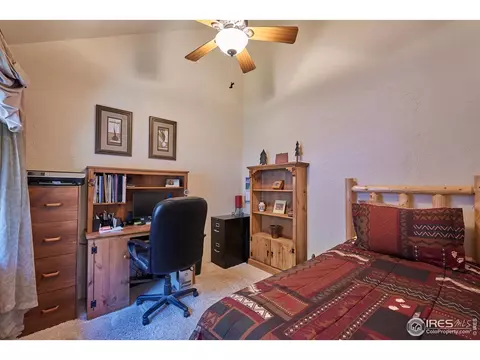 762 Pine Cone Cir, Ward, CO 80481 photo 19