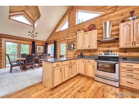 762 Pine Cone Cir, Ward, CO 80481 photo 11