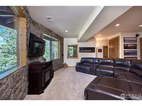 762 Pine Cone Cir, Ward, CO 80481 photo 21