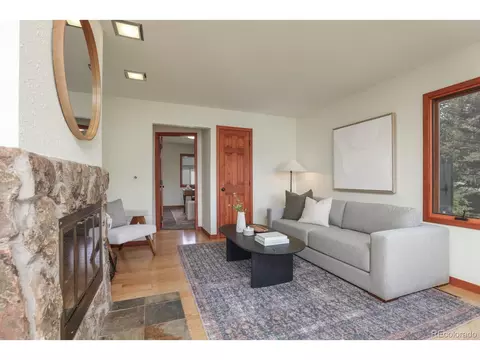 333 Big Elk Rd, Dillon, CO 80435 photo 8
