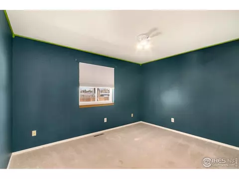 105 Rose Ct, Windsor, CO 80550 photo 10