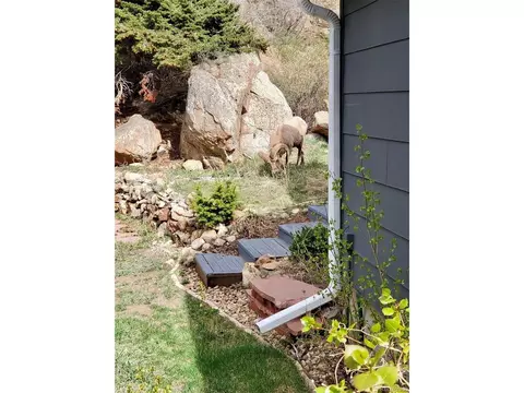 1400 Main St, Georgetown, CO 80444 photo 39