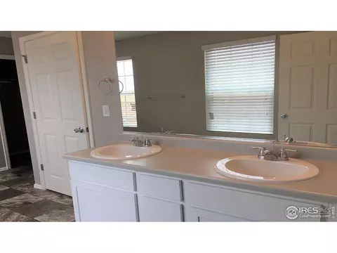 1666 Highfield Dr, Windsor, CO 80550 photo 5
