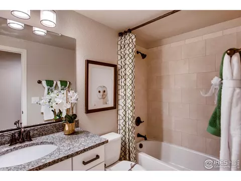 10040 E 160th Pl, Brighton, CO 80602 photo 31