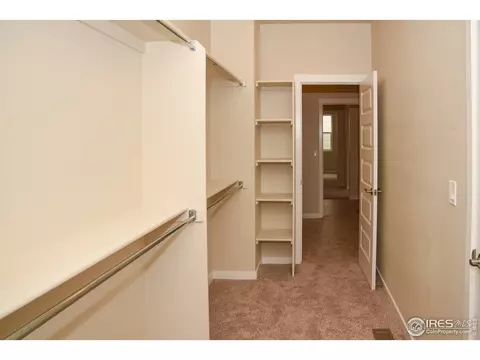 5376 Chantry Dr, Windsor, CO 80550 photo 16