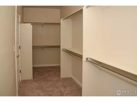 5376 Chantry Dr, Windsor, CO 80550 photo 14