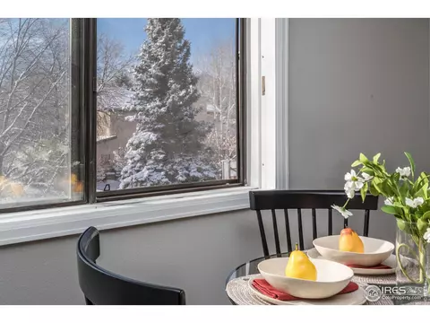 1545 Patton Cir #E, Boulder, CO 80303 photo 9