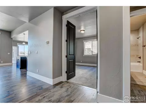 5435 Long Dr, Timnath, CO 80547 photo 34