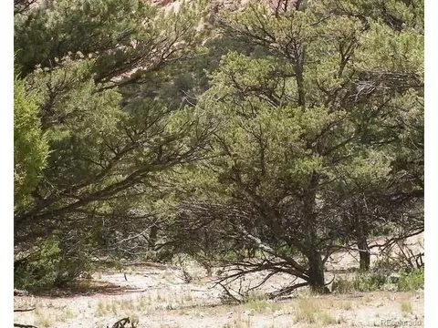 19251 Road 24 2, Dolores, CO 81323
