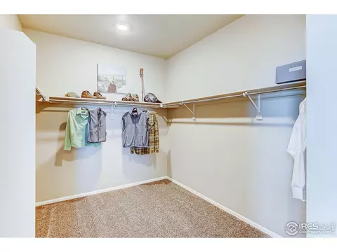 400 Harrow St, Severance, CO 80550 photo 22