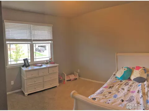 8941 Forest St, Firestone, CO 80504 photo 20