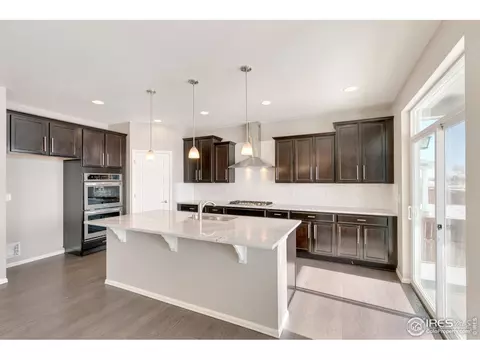 6111 Gannet Dr, Timnath, CO 80547 photo 9