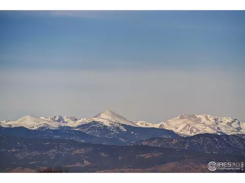 6111 Gannet Dr, Timnath, CO 80547 photo 28
