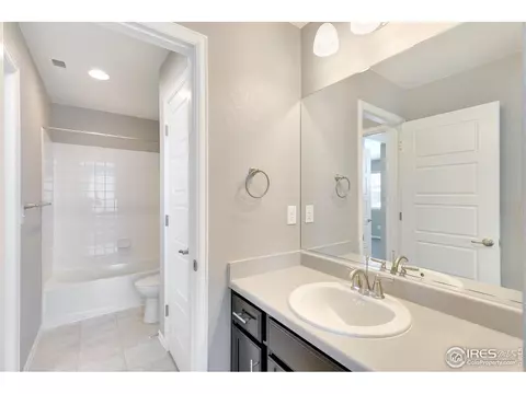 6111 Gannet Dr, Timnath, CO 80547 photo 25