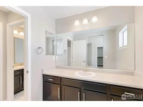 6111 Gannet Dr, Timnath, CO 80547 photo 24