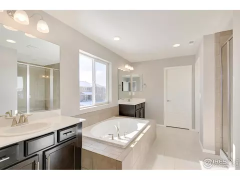 6111 Gannet Dr, Timnath, CO 80547 photo 20