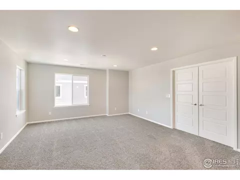 6111 Gannet Dr, Timnath, CO 80547 photo 15