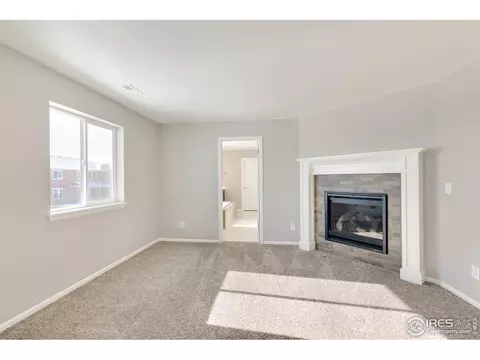 6111 Gannet Dr, Timnath, CO 80547 photo 19